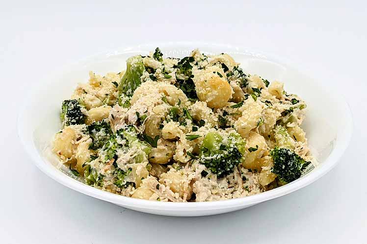 Bowl of chicken Alfredo casserole with pasta, chicken and broccoli.